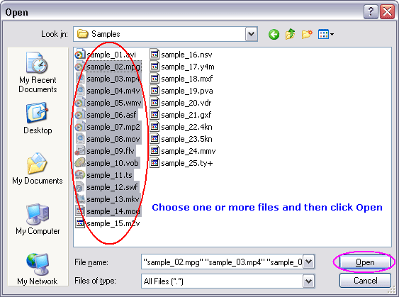 Choose one or more files you want to convert and then click Open.